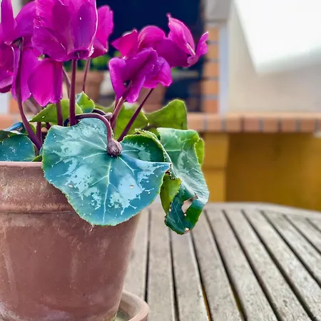 Prázdninový dům Santos & Belos