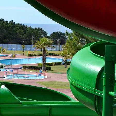 Santos & Belos * Nazare